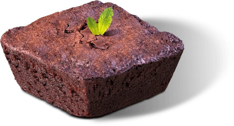 Chocolate Brownie